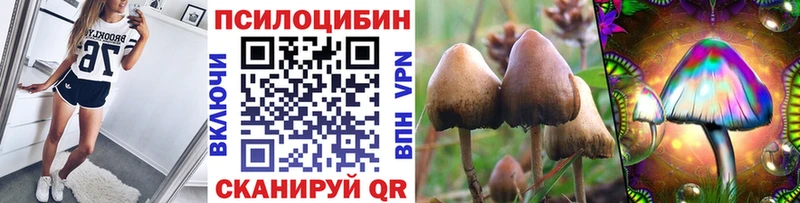 продажа наркотиков  KRAKEN маркетплейс  Галлюциногенные грибы Cubensis  Кемь 
